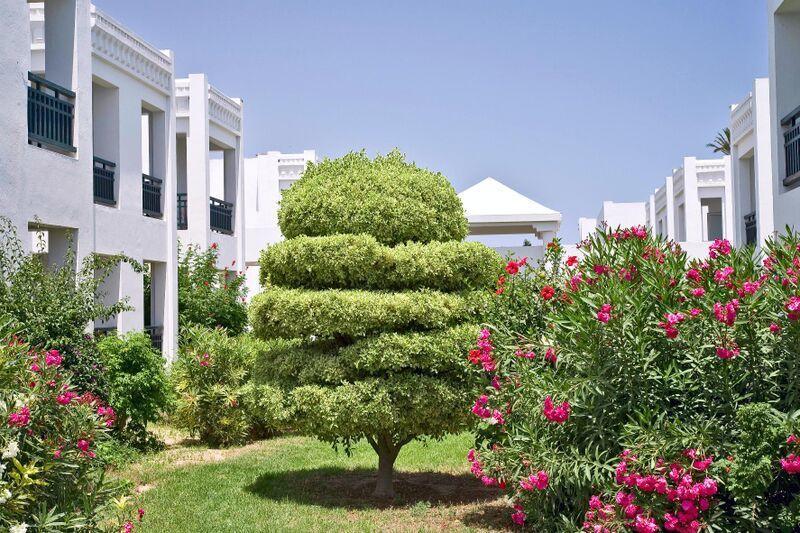 מהדייה Hotel Club El Borj מראה חיצוני תמונה